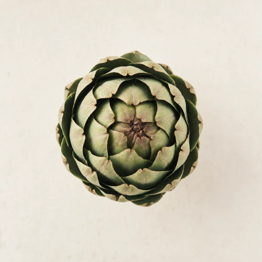 Artichoke  100 mg