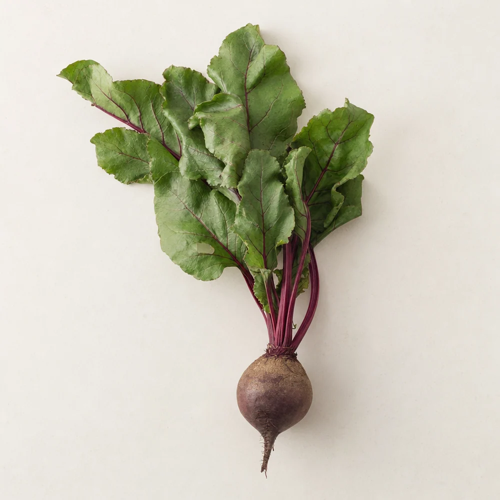 Beetroot  100 mg